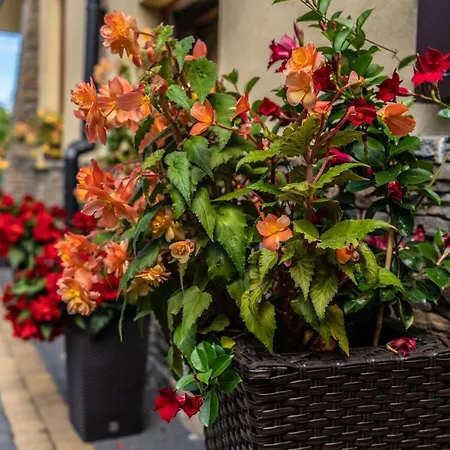 فندق مبيت وإفطار Dunajecki Dworek زاكوباني