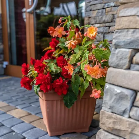 Dunajecki Dworek فندق مبيت وإفطار 3*