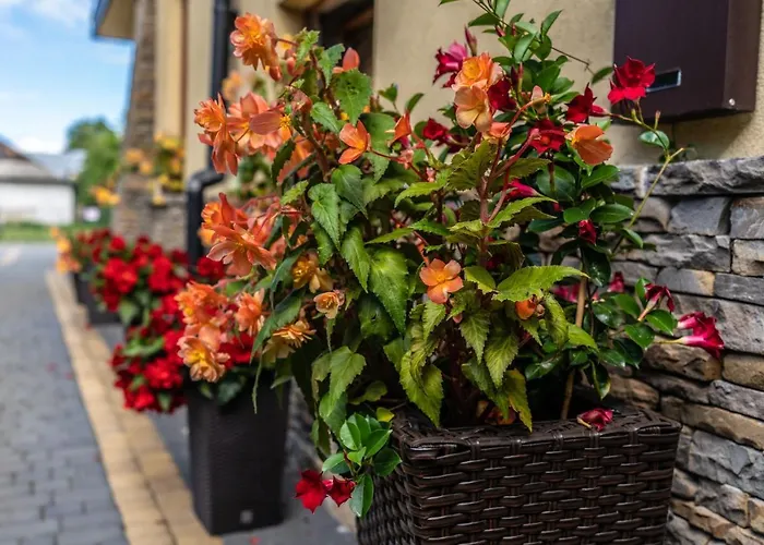 לינה וארוחת בוקר Dunajecki Dworek זקופאנה