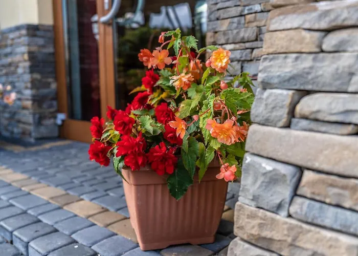 Dunajecki Dworek לינה וארוחת בוקר 3*